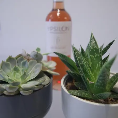 Daire Nikis Hοuse *