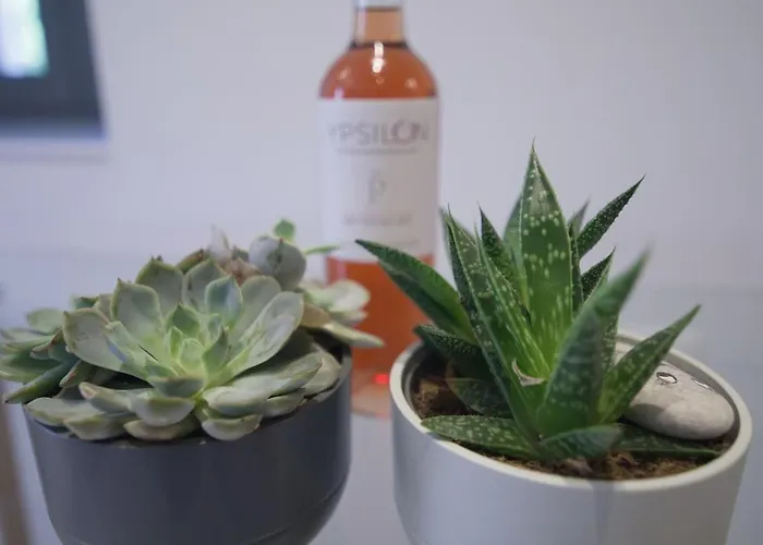 Appartement Nikis Hοuse *